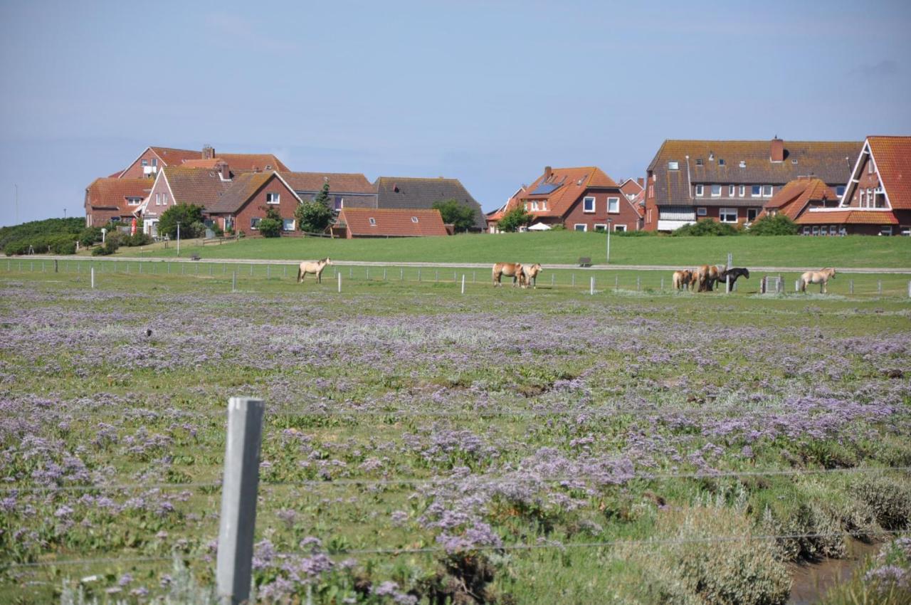 Seevilla Wietjes Whg 6 Baltrum Bagian luar foto